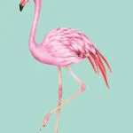 Turkuaz Zeminde Flamingo