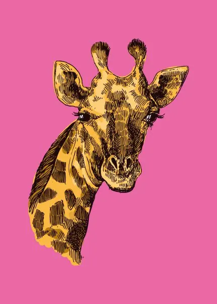 Pembe Zeminde Zürafa