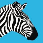 Mavi Zeminde Zebra