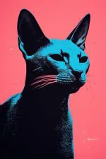 Pembe Zeminde Siyah Kedi