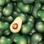 Avokado Deseni