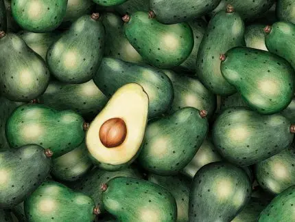 Avokado Deseni