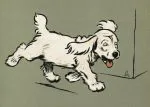 Koşan Beyaz Köpek