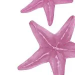 Pembe Denizyıldızı İkilisi