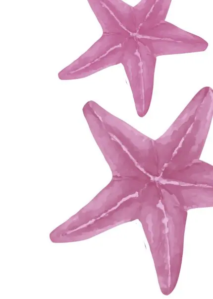 Pembe Denizyıldızı İkilisi