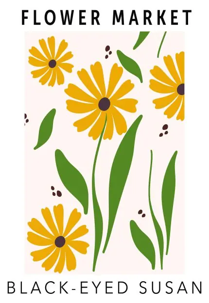 Rudbekya Çiçek Pazarı