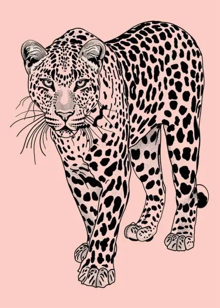 Pembe Zeminde Leopar Çizimi