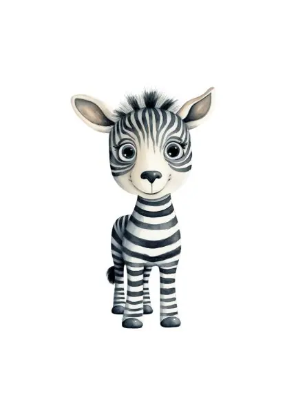 Zebra Yavrusu