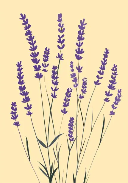 Sarı Zeminde Lavantalar