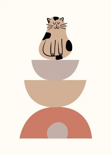 Kaselerin Üstünde Kedi