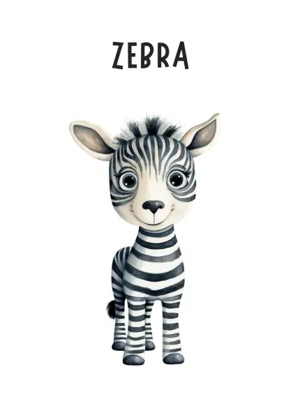 Sevimli Zebra Yavrusu II