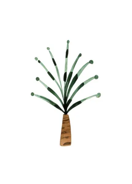 Minimal Palmiye Fidanı