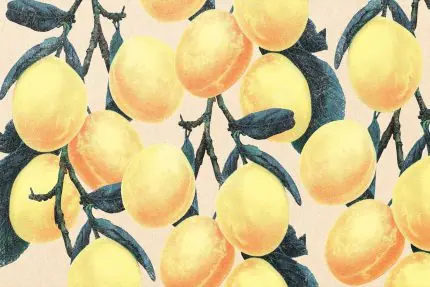 Limon Ağacı Deseni