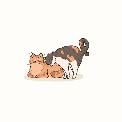Kedi Ailesi