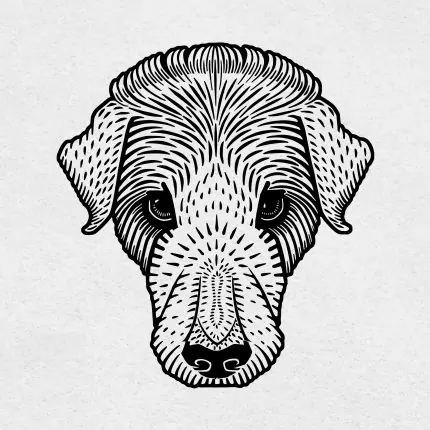 Çizgisel Köpek Portresi