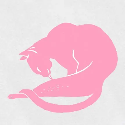 Pembe Uyuyan Kedi