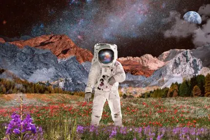 Çiçek Tarlasında Astronot
