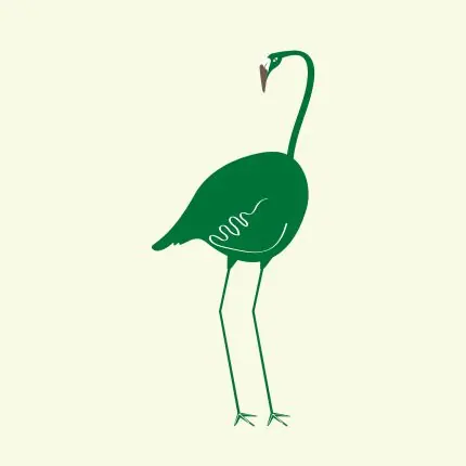 Yeşil Flamingo Çizimi