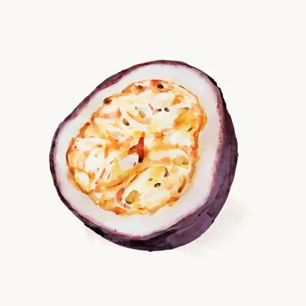 Mangostan Suluboyası