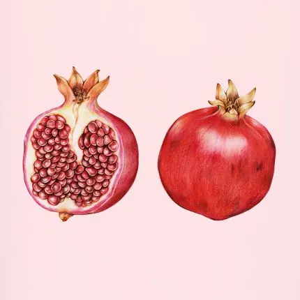 Pembe Zeminde Narlar
