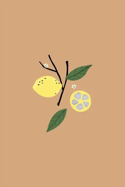 Kahverengi Zeminde Limon Dalı