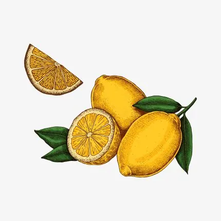 Limonlar Gravürü