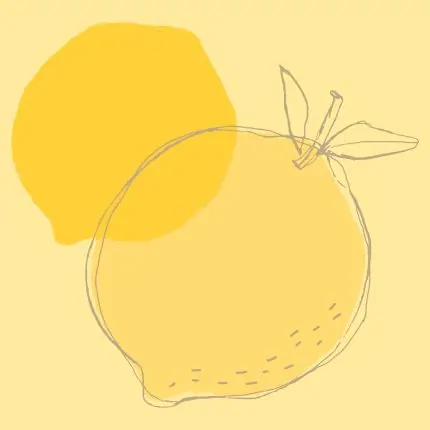 Sarı Zeminde Limon Çizimi