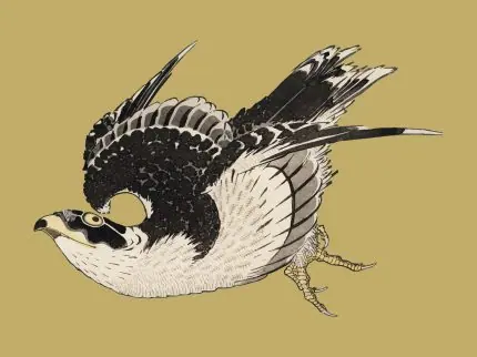 Hardal Zeminde Şahin