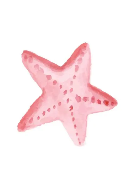 Pembe Denizyıldızı Suluboyası