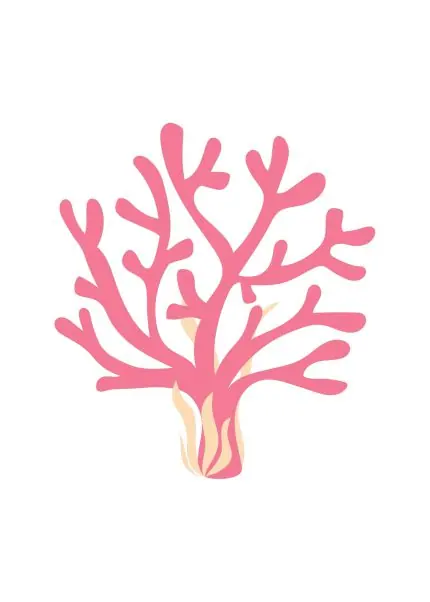 Pembe Mercan Dalı