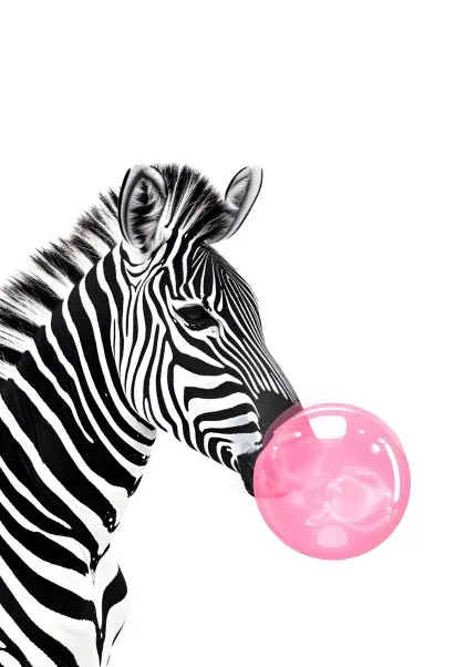 Sakız Şişiren Zebra