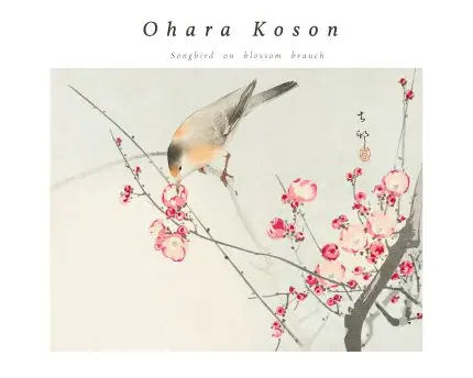 Koson Erik Dalında Kuş