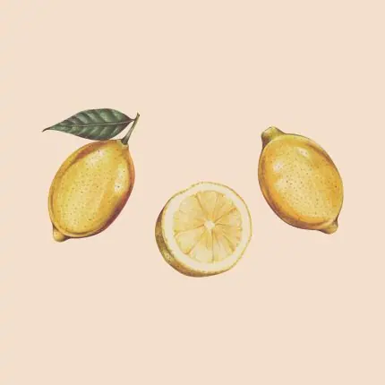 Üç Limon Kompozisyonu