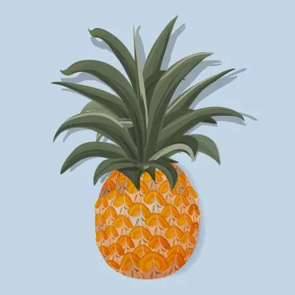 Mavi Zeminde Ananas