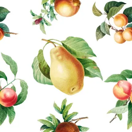Armut ve Elma Deseni