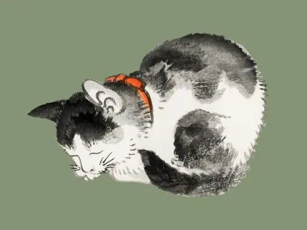 Yeşil Zeminde Uyuyan Kedi