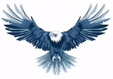 Lacivert Kartal