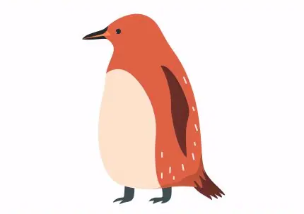 Turuncu Penguen
