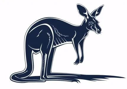 Lacivert Kanguru