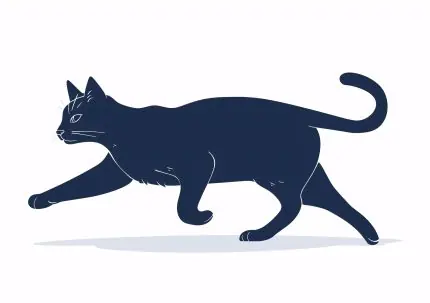 Lacivert Kedi