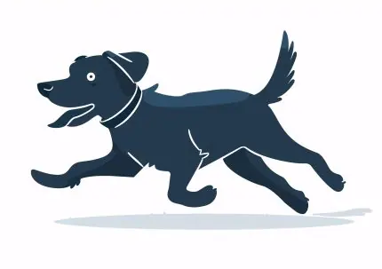 Koşan Lacivert Köpek