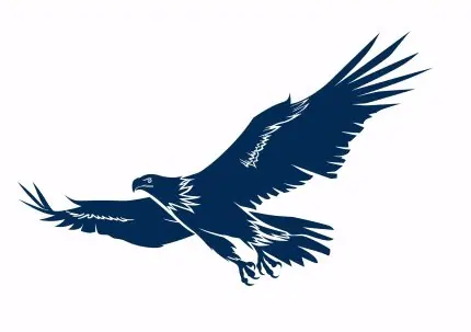 Lacivert Uçan Kartal
