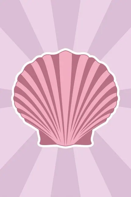 Pembe Deniz Kabuğu ve Işın Deseni