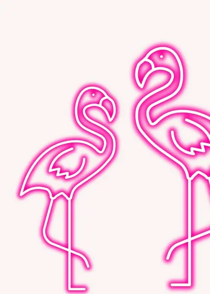 Neon Pembe Flamingo İkilisi