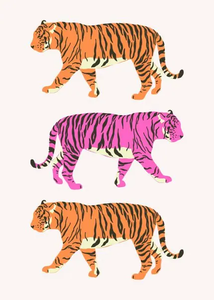 Turuncu ve Pembe Yürüyen Kaplanlar