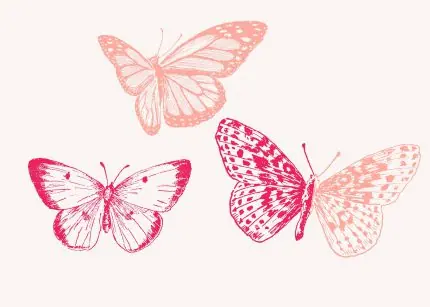 Pembe Kelebek Üçlüsü
