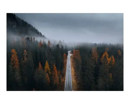 Sisli Ormanda Uzanan Yol