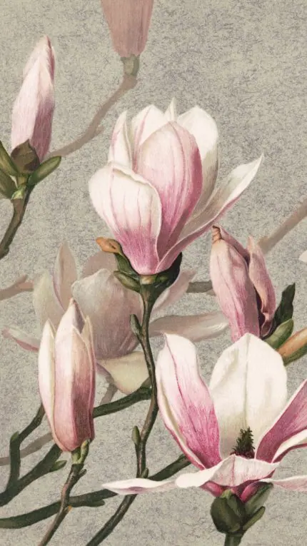 Pastel Manolya Dalları