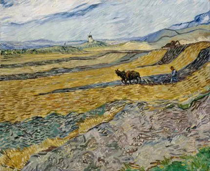 Van Gogh Sürülmüş Tarla
