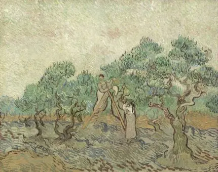 Van Gogh Zeytin Toplayanlar